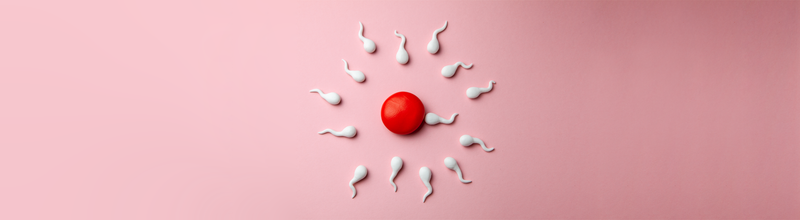 The fertility supplements recommended by the experts