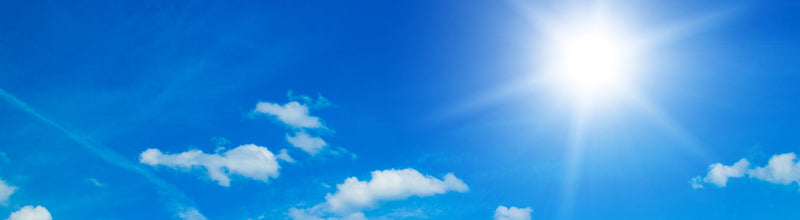 The Importance of Vitamin D