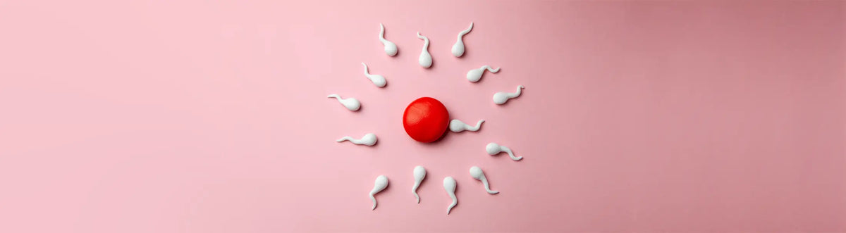 Fertility Supplements - An Expert's Guide