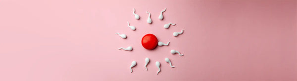 Fertility Supplements - An Expert's Guide