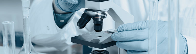 BetterYou fund ground-breaking vitamin D research with the University of Sheffield