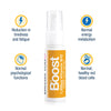 Boost Vitamin B12 Oral Spray