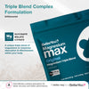 Magnesium Max Original Powder