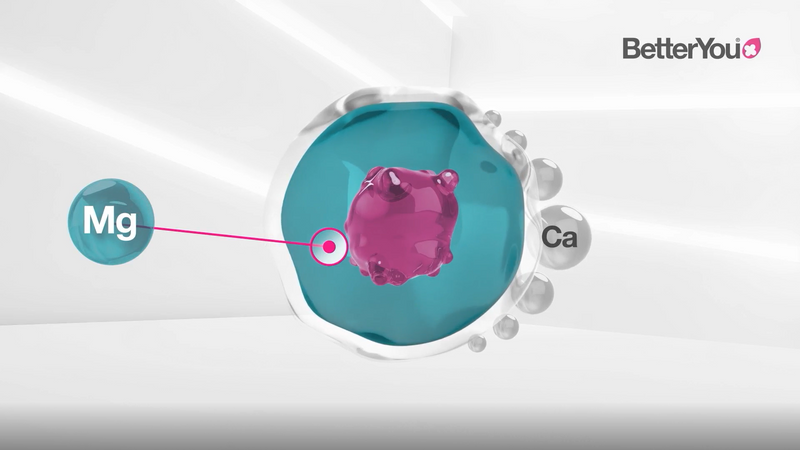 How Magnesium Works in the Body: The Science Explained!