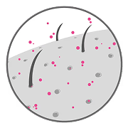Magnesium is quickly absorbed into the epidermis.