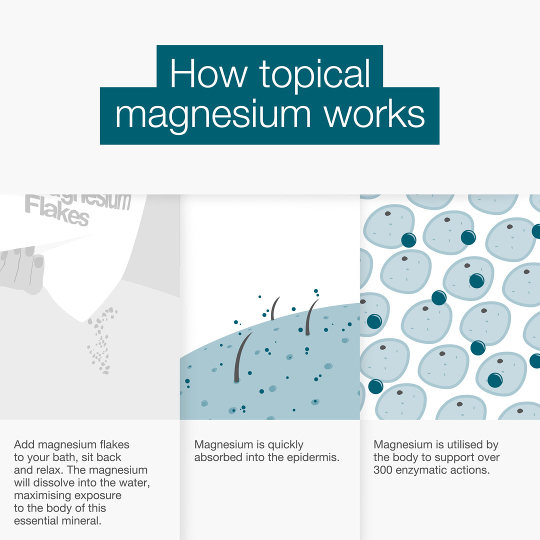 Magnesium Bundle